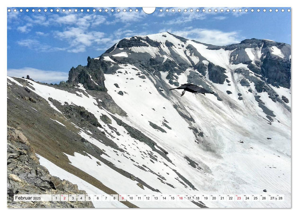 ALPEN BLICK (CALVENDO Wandkalender 2025)