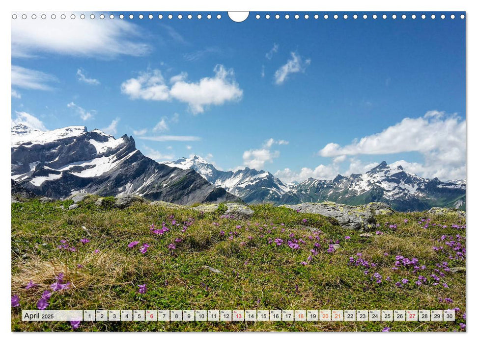 ALPEN BLICK (CALVENDO Wandkalender 2025)