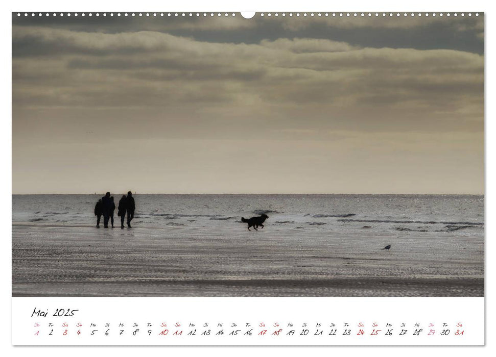 Naturpark Wattenmeer und Helgoland (CALVENDO Wandkalender 2025)