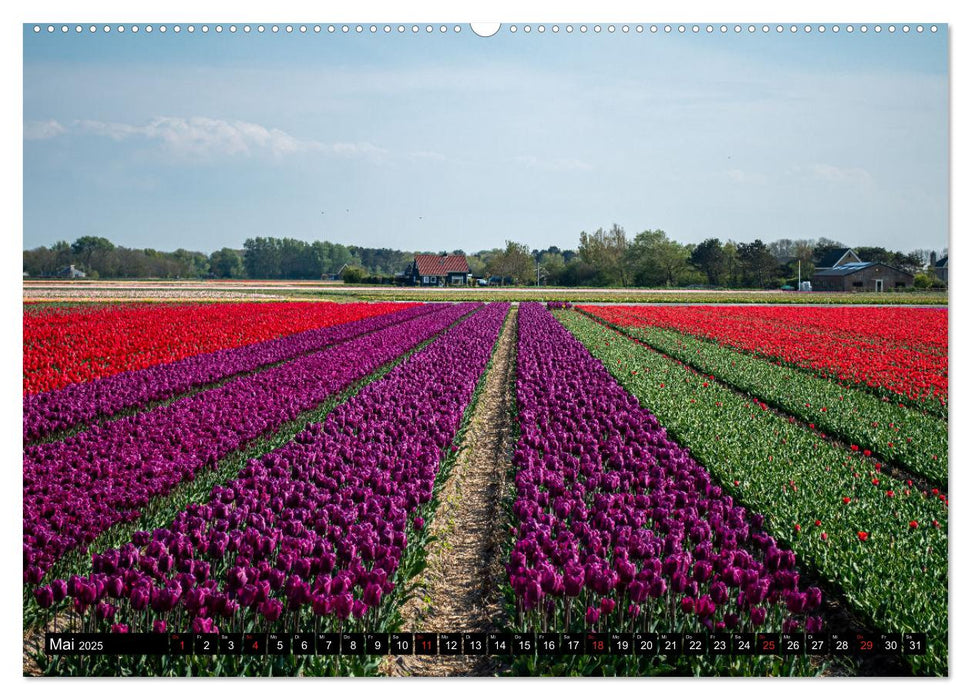 Egmond aan Zee - Natürlich (CALVENDO Premium Wandkalender 2025)