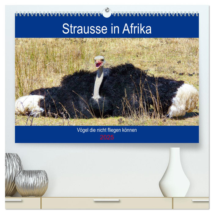 Strausse in Afrika (CALVENDO Premium Wandkalender 2025)