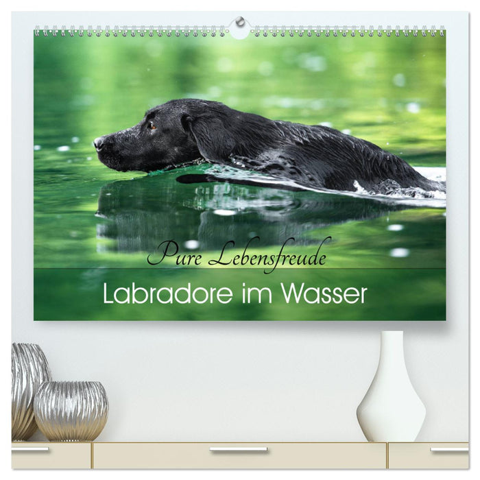 Labradore im Wasser (CALVENDO Premium Wandkalender 2025)