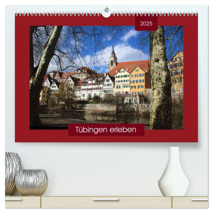 Tübingen erleben (CALVENDO Premium Wandkalender 2025)