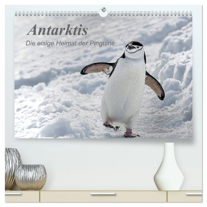 Antarktis, die eisige Heimat der Pinguine (CALVENDO Premium Wandkalender 2025)