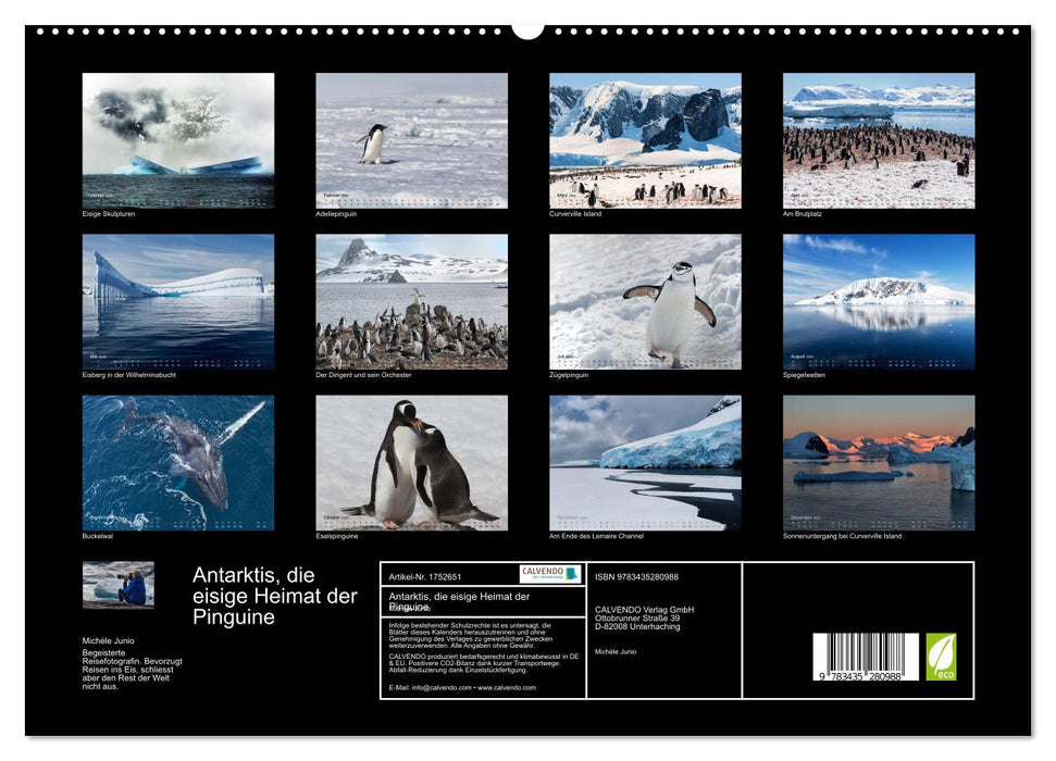 Antarktis, die eisige Heimat der Pinguine (CALVENDO Premium Wandkalender 2025)