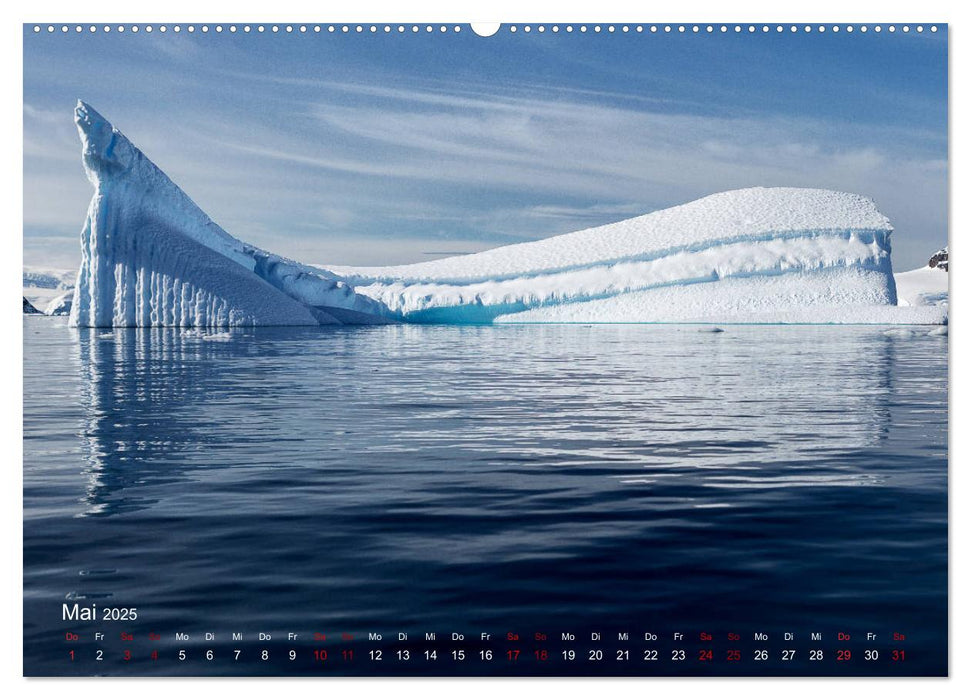 Antarktis, die eisige Heimat der Pinguine (CALVENDO Premium Wandkalender 2025)