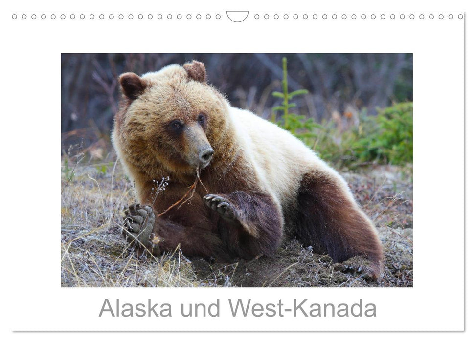 Alaska und West-Kanada (CALVENDO Wandkalender 2025)