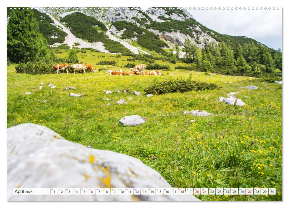 Die Tauplitz (CALVENDO Premium Wandkalender 2025)