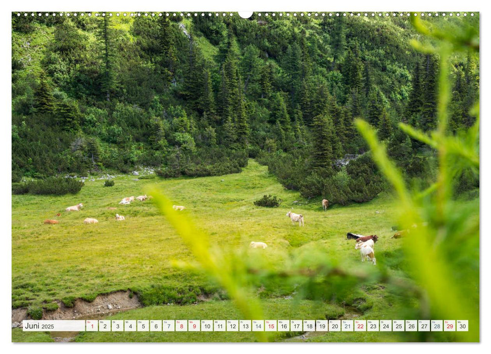 Die Tauplitz (CALVENDO Premium Wandkalender 2025)