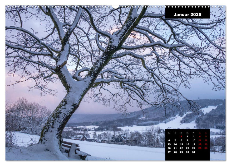 Malerisches Sauerland (CALVENDO Premium Wandkalender 2025)