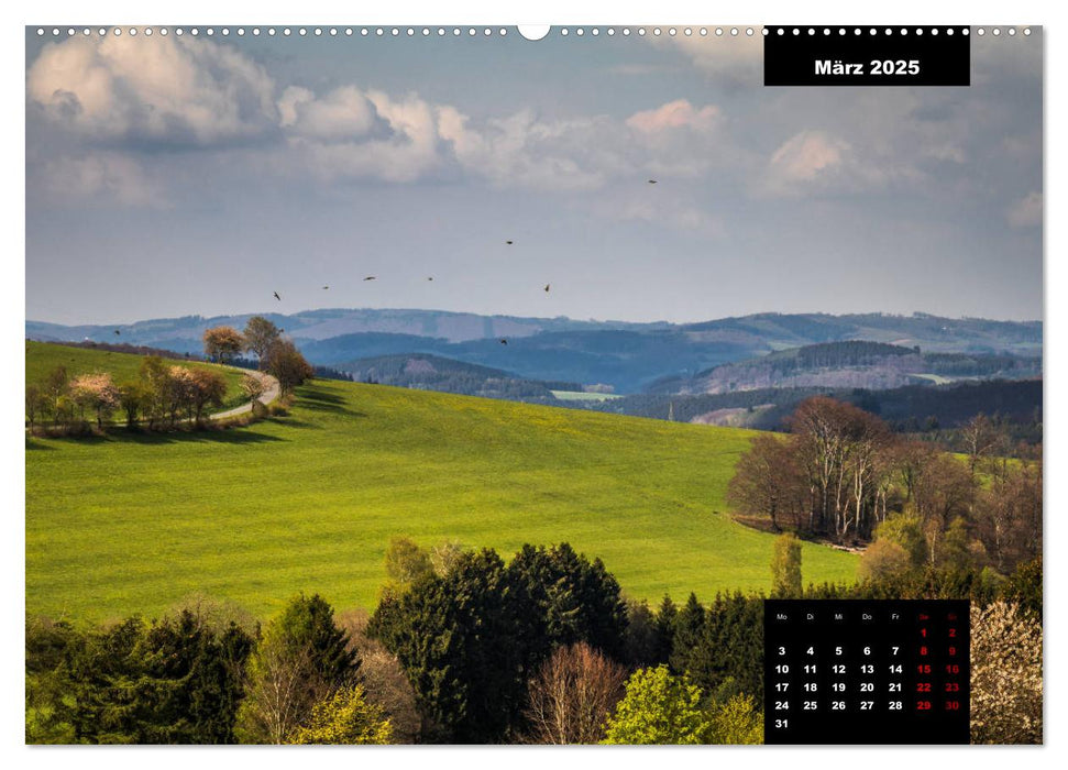 Malerisches Sauerland (CALVENDO Premium Wandkalender 2025)