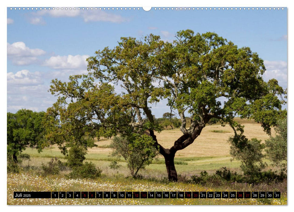 Portugal Buntes Hinterland und farbige Küsten (CALVENDO Premium Wandkalender 2025)