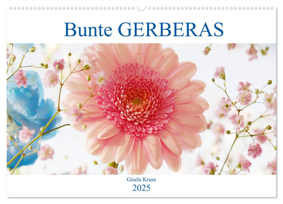 Bunte Gerberas (CALVENDO Wandkalender 2025)