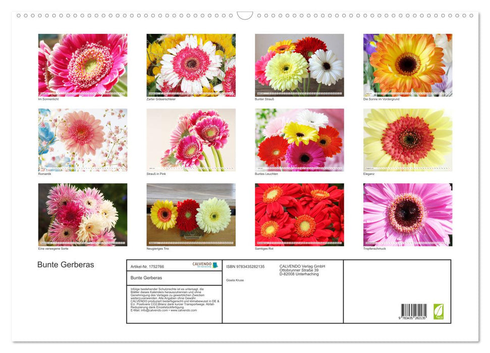 Bunte Gerberas (CALVENDO Wandkalender 2025)