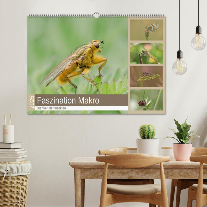 Faszination Makro - Die Welt der Insekten (CALVENDO Wandkalender 2025)