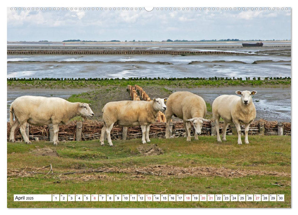 Die Nordsee zwischen Stade und Pellworm (CALVENDO Wandkalender 2025)