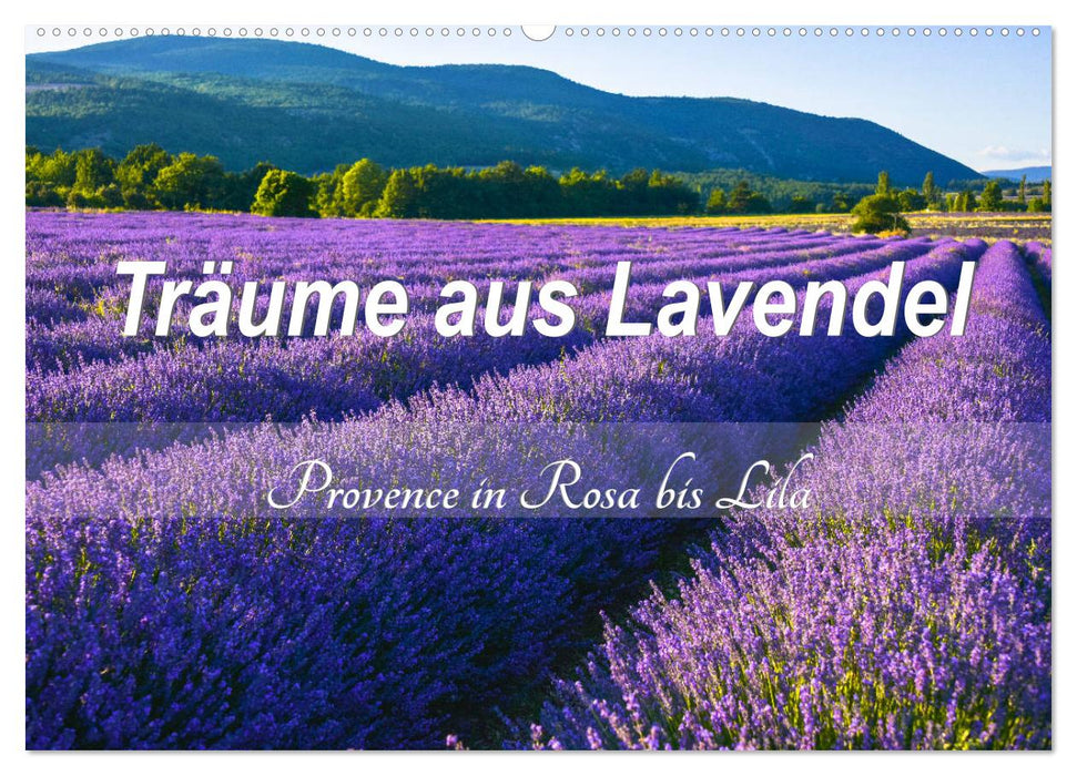 Träume aus Lavendel, Provence in Rosa bis Lila (CALVENDO Wandkalender 2025)