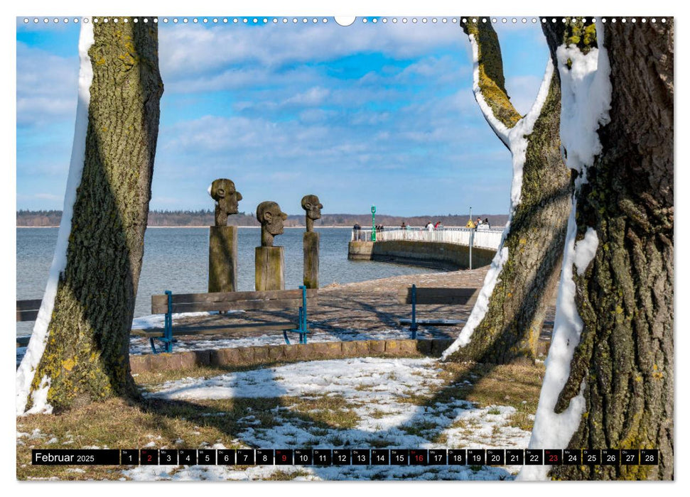 Greifswald, Bilder einer Stadt (CALVENDO Premium Wandkalender 2025)