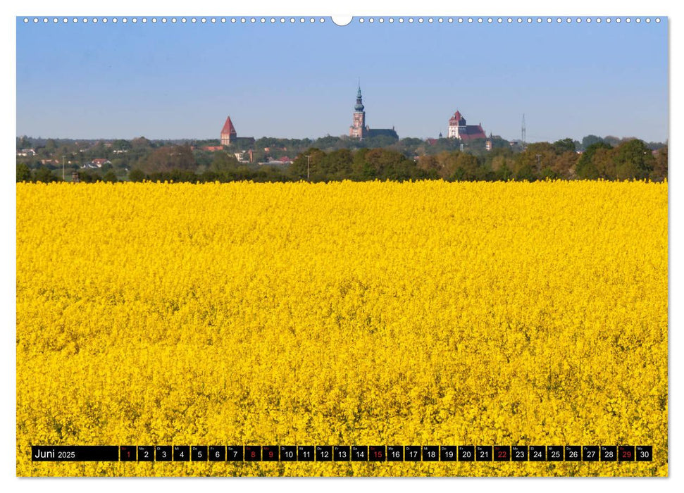 Greifswald, Bilder einer Stadt (CALVENDO Premium Wandkalender 2025)