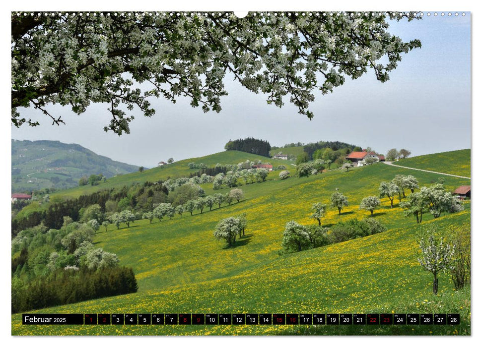 Frühling im Mostviertel (CALVENDO Premium Wandkalender 2025)