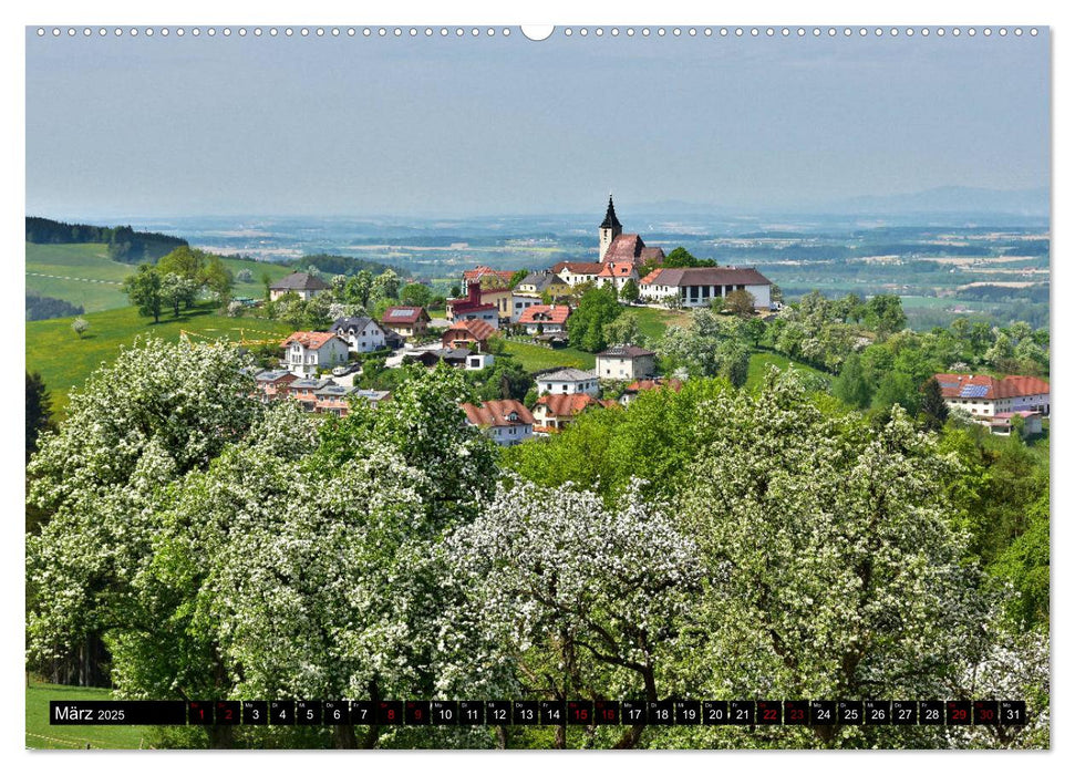 Frühling im Mostviertel (CALVENDO Premium Wandkalender 2025)