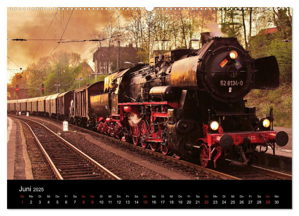 Romantisches Treysa (CALVENDO Premium Wandkalender 2025)