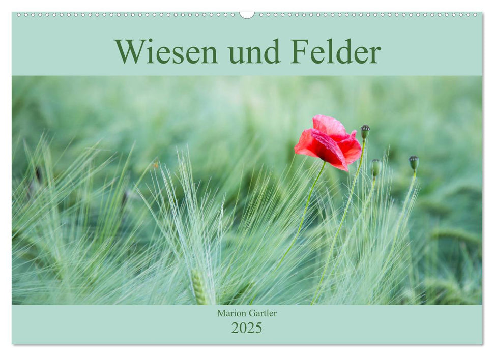 Wiesen und Felder (CALVENDO Wandkalender 2025)