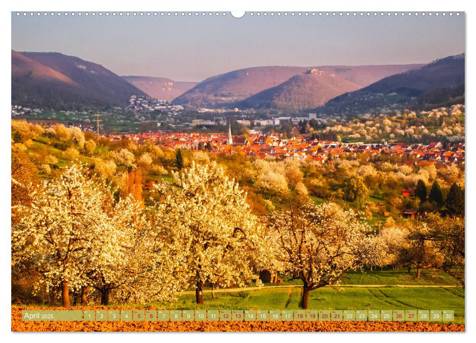 Wilde Schönheit - Raue Alb (CALVENDO Premium Wandkalender 2025)