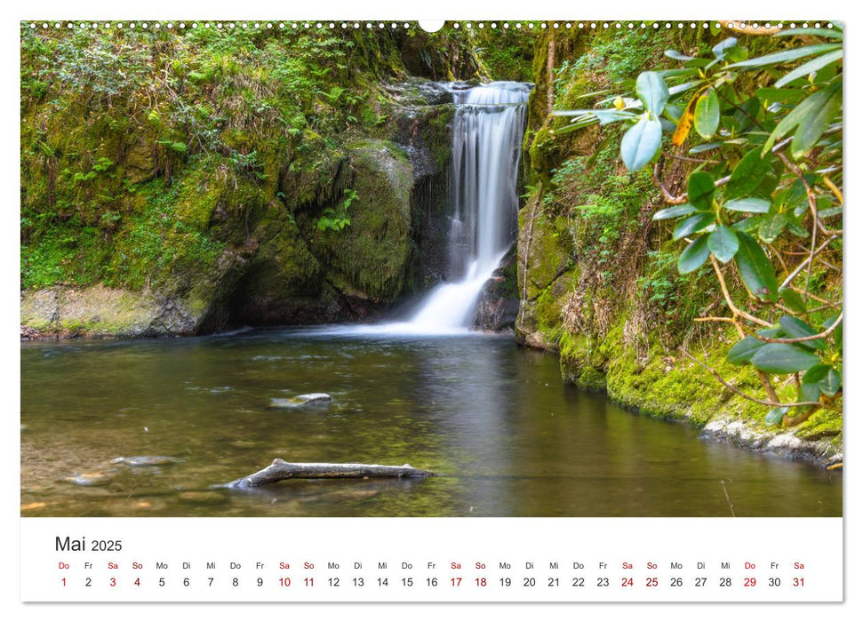 Baden-Baden, Kurstadt am Rande des Schwarzwaldes (CALVENDO Wandkalender 2025)