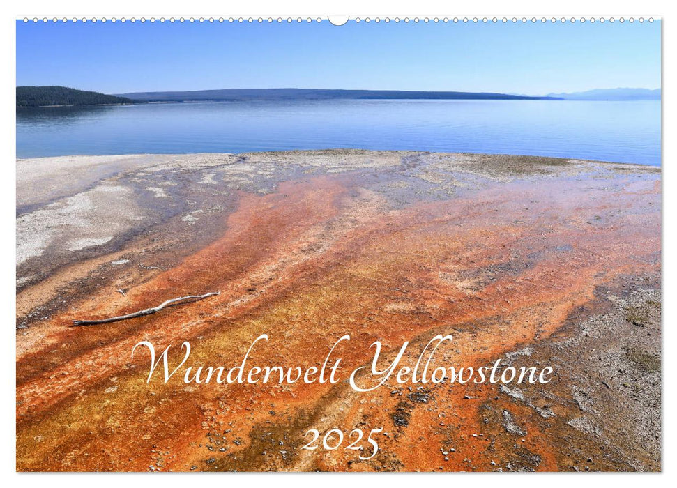 Wunderwelt Yellowstone 2025 (CALVENDO Wandkalender 2025)