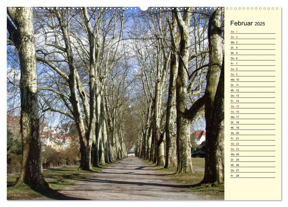 Tübingen erleben (CALVENDO Wandkalender 2025)