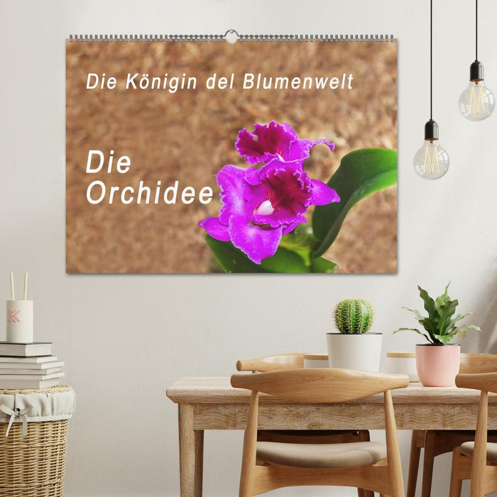 Die Königin der Blumenwelt, die Orchidee (CALVENDO Wandkalender 2025)