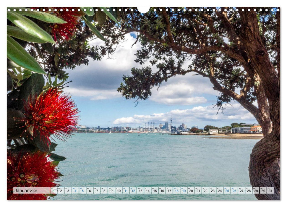 Wandkalender Auckland 2025 DIN A4 Quer (CALVENDO Wandkalender 2025)