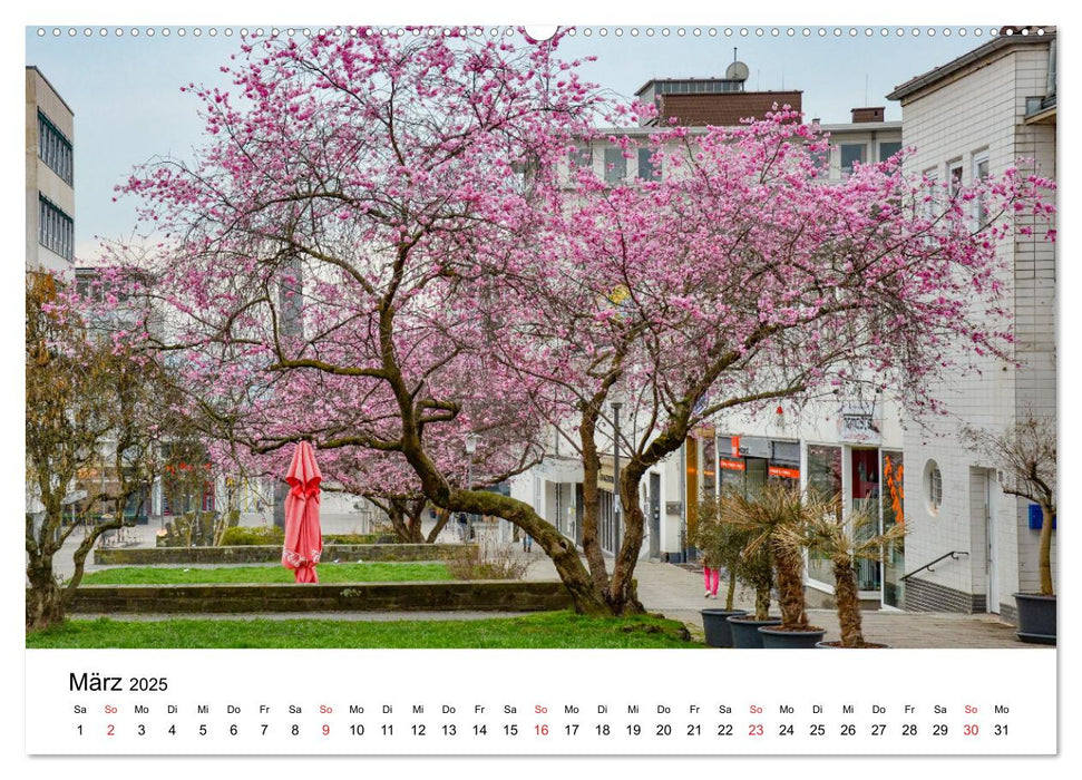 Kassel - Impressionen (CALVENDO Premium Wandkalender 2025)