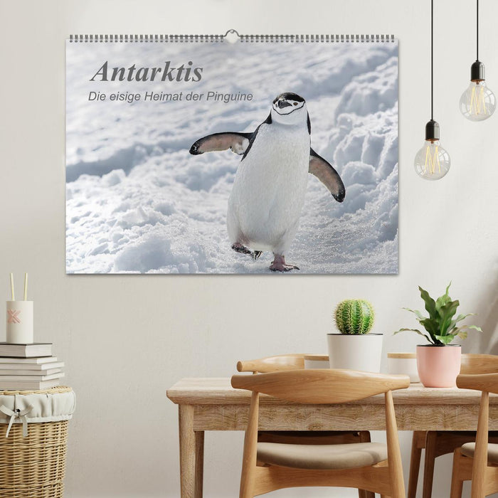 Antarktis, die eisige Heimat der Pinguine (CALVENDO Wandkalender 2025)