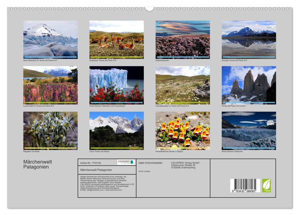 Märchenwelt Patagonien (CALVENDO Premium Wandkalender 2025)