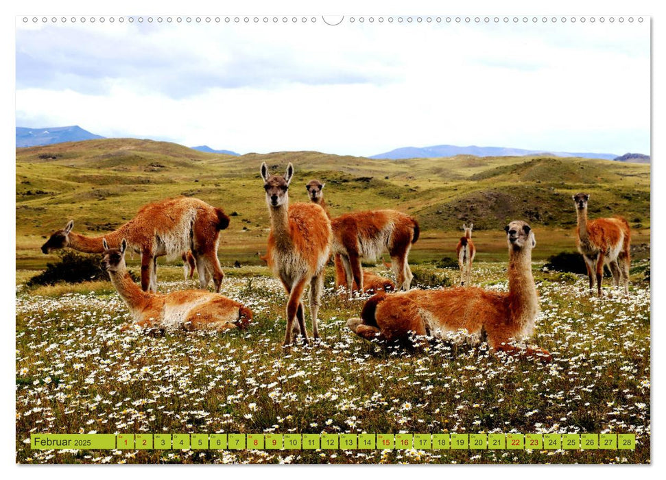 Märchenwelt Patagonien (CALVENDO Premium Wandkalender 2025)