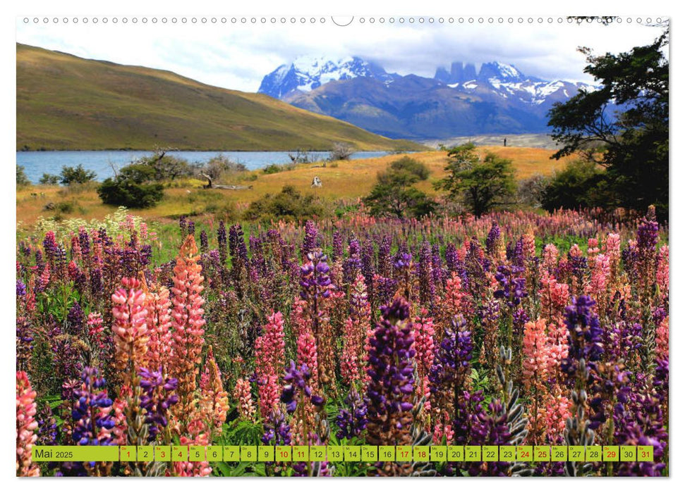 Märchenwelt Patagonien (CALVENDO Premium Wandkalender 2025)