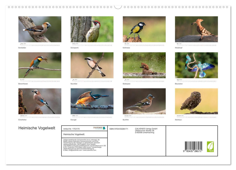 Heimische Vogelwelt (CALVENDO Premium Wandkalender 2025)