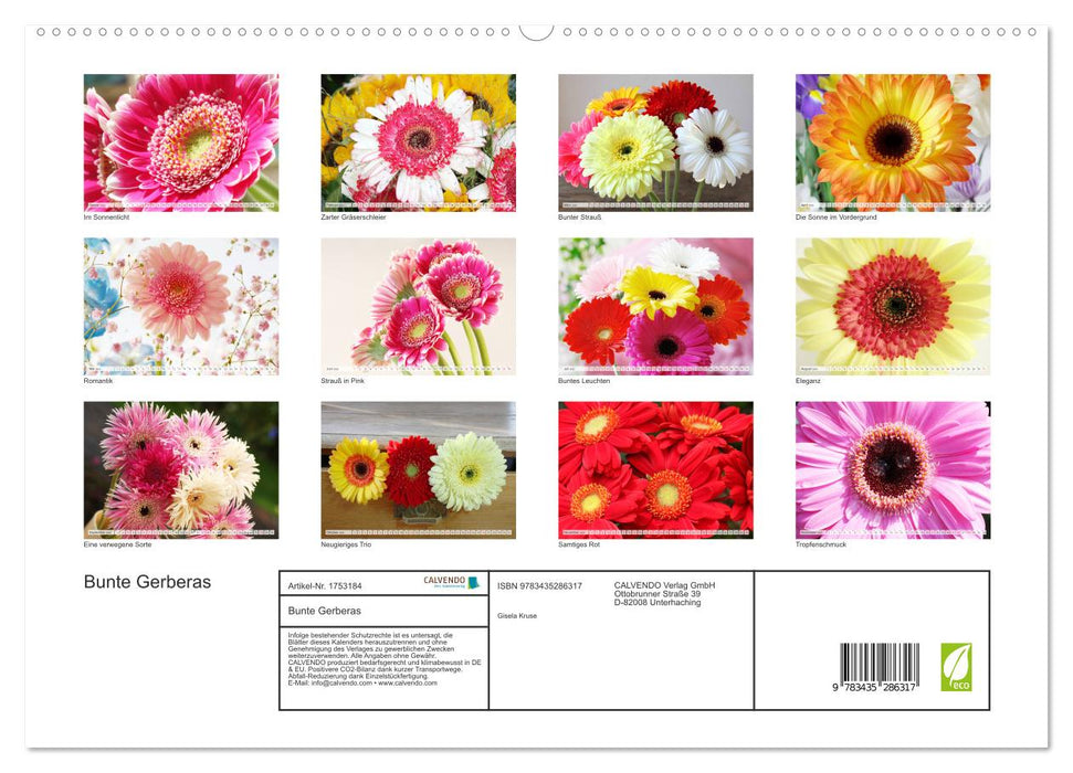 Bunte Gerberas (CALVENDO Premium Wandkalender 2025)