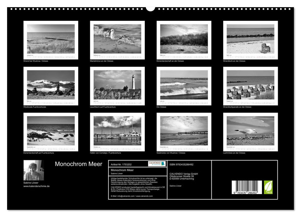 Monochrom Meer (CALVENDO Premium Wandkalender 2025)