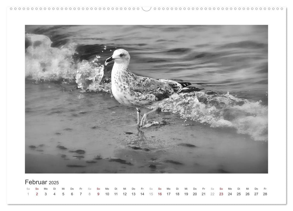 Monochrom Meer (CALVENDO Premium Wandkalender 2025)