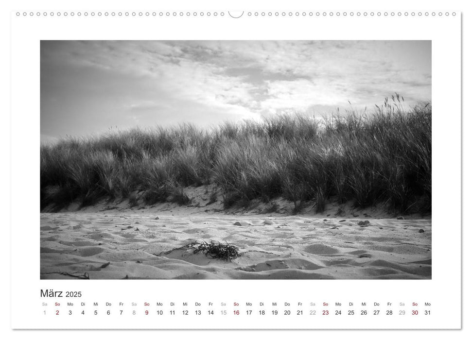 Monochrom Meer (CALVENDO Premium Wandkalender 2025)