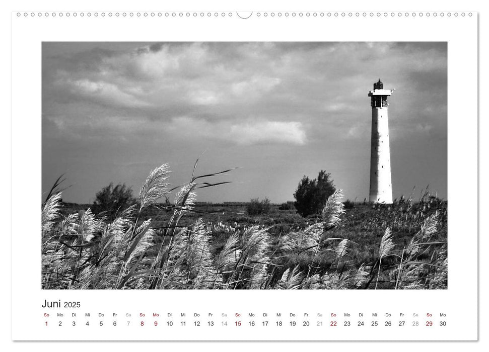 Monochrom Meer (CALVENDO Premium Wandkalender 2025)