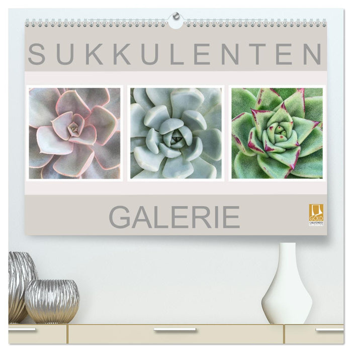 Sukkulenten Galerie (CALVENDO Premium Wandkalender 2025)