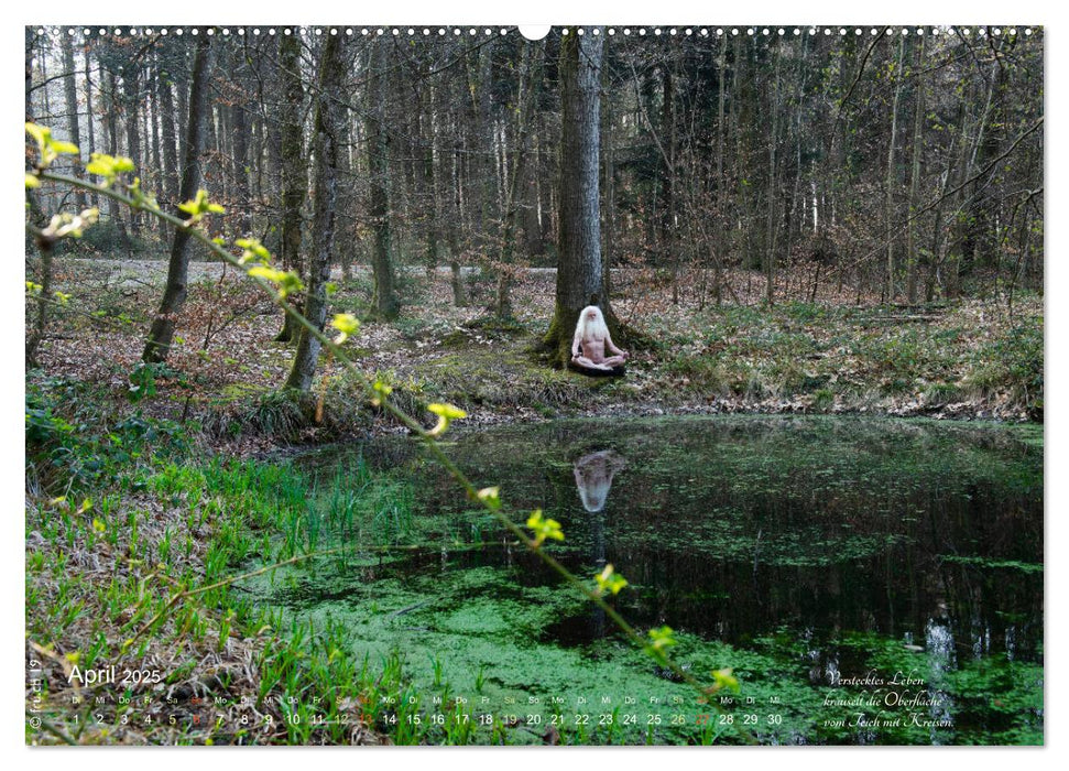 HAIKU AM TEICH (CALVENDO Premium Wandkalender 2025)