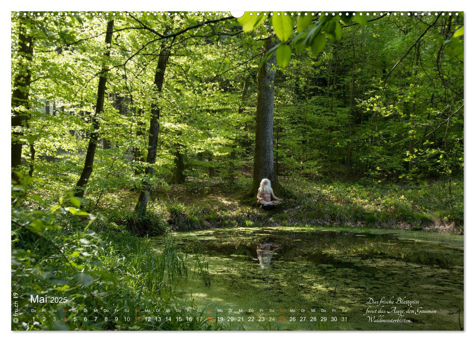 HAIKU AM TEICH (CALVENDO Premium Wandkalender 2025)