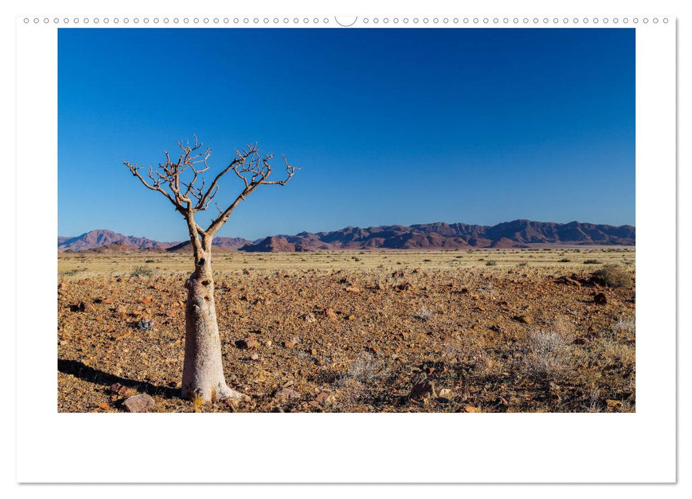 Namibia - Wüsten, Weite, Farben (CALVENDO Premium Wandkalender 2025)