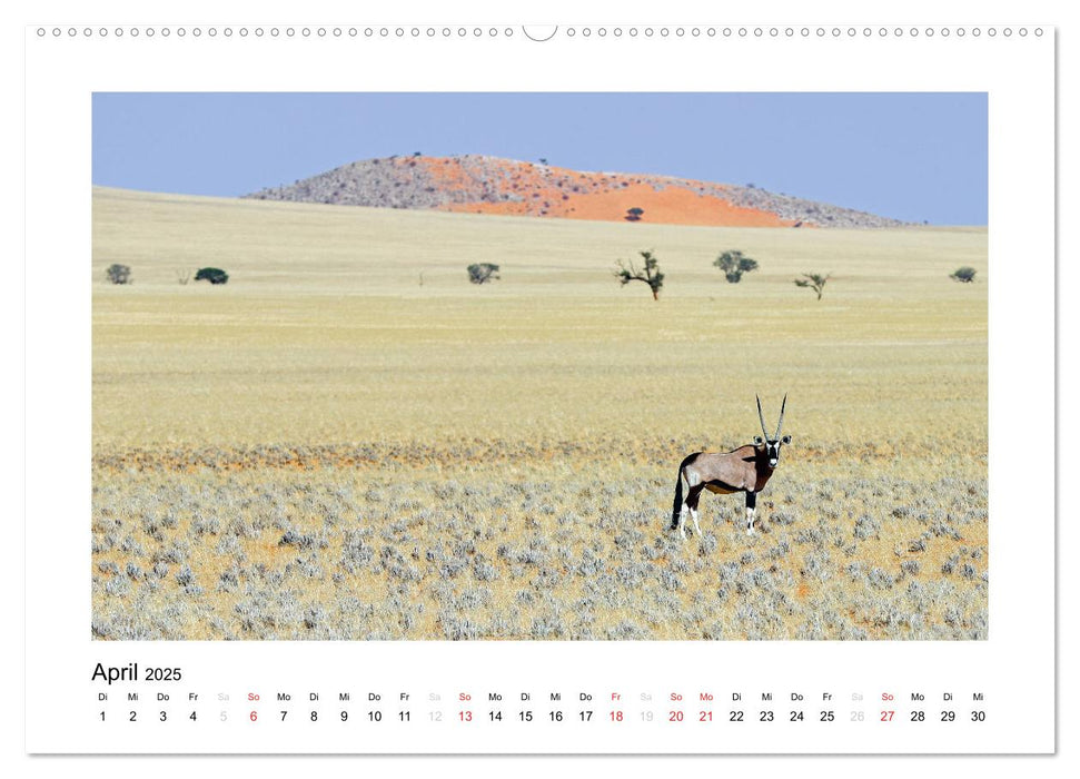 Namibia - Wüsten, Weite, Farben (CALVENDO Premium Wandkalender 2025)