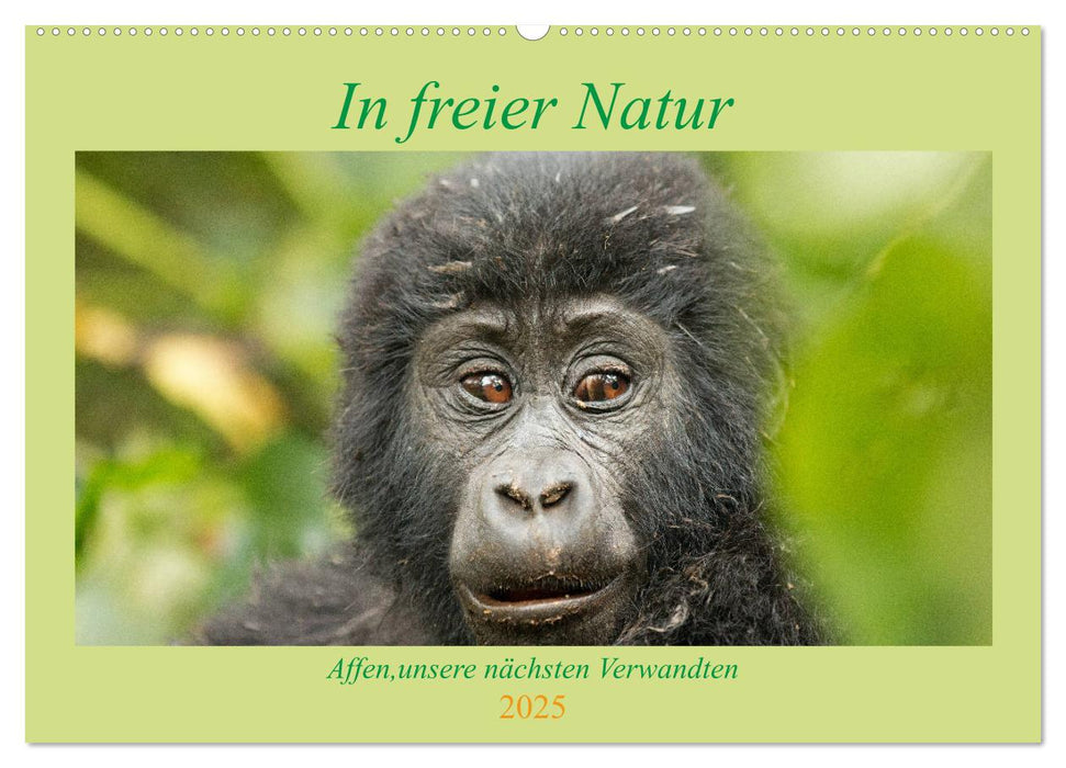 In freier Natur Affen, unsere nächsten Verwandten (CALVENDO Wandkalender 2025)